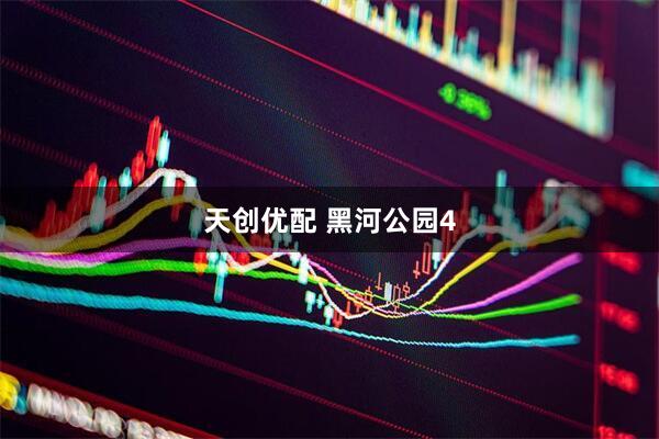 天创优配 黑河公园4